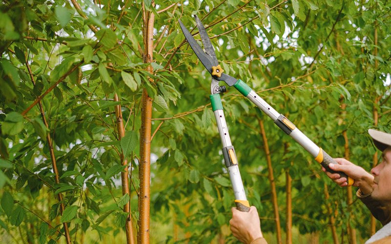 Tree trimming in Huggins, MO